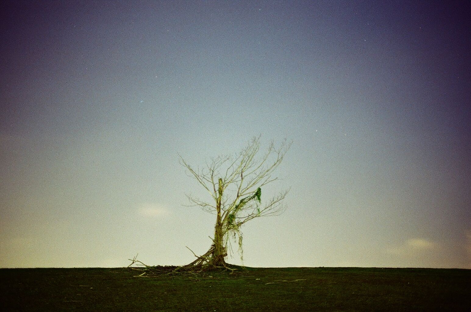 Film - Fuji C200