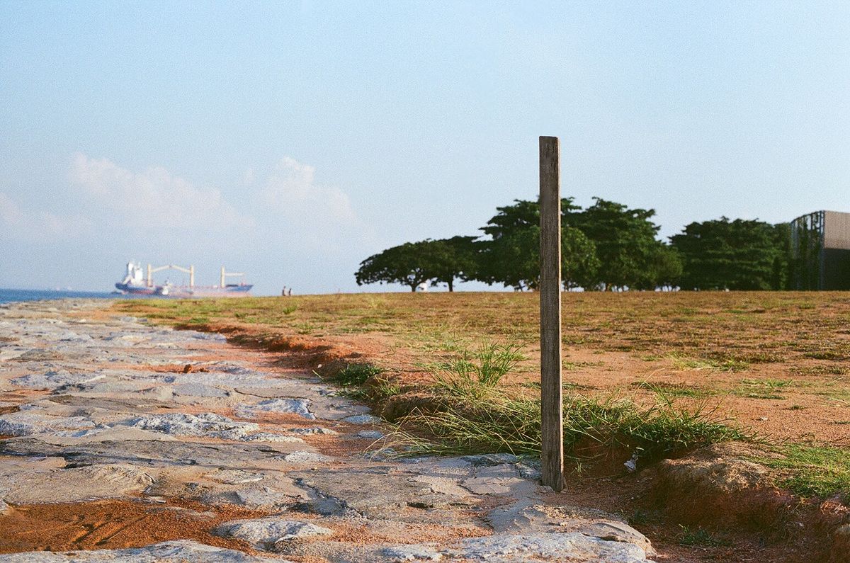 Film - Kodak Gold 400