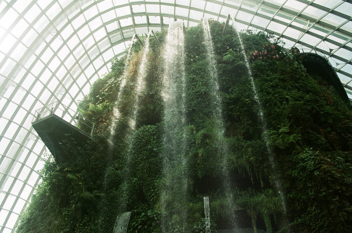 Agfa Vista Plus 200 - Gardens by the Bay