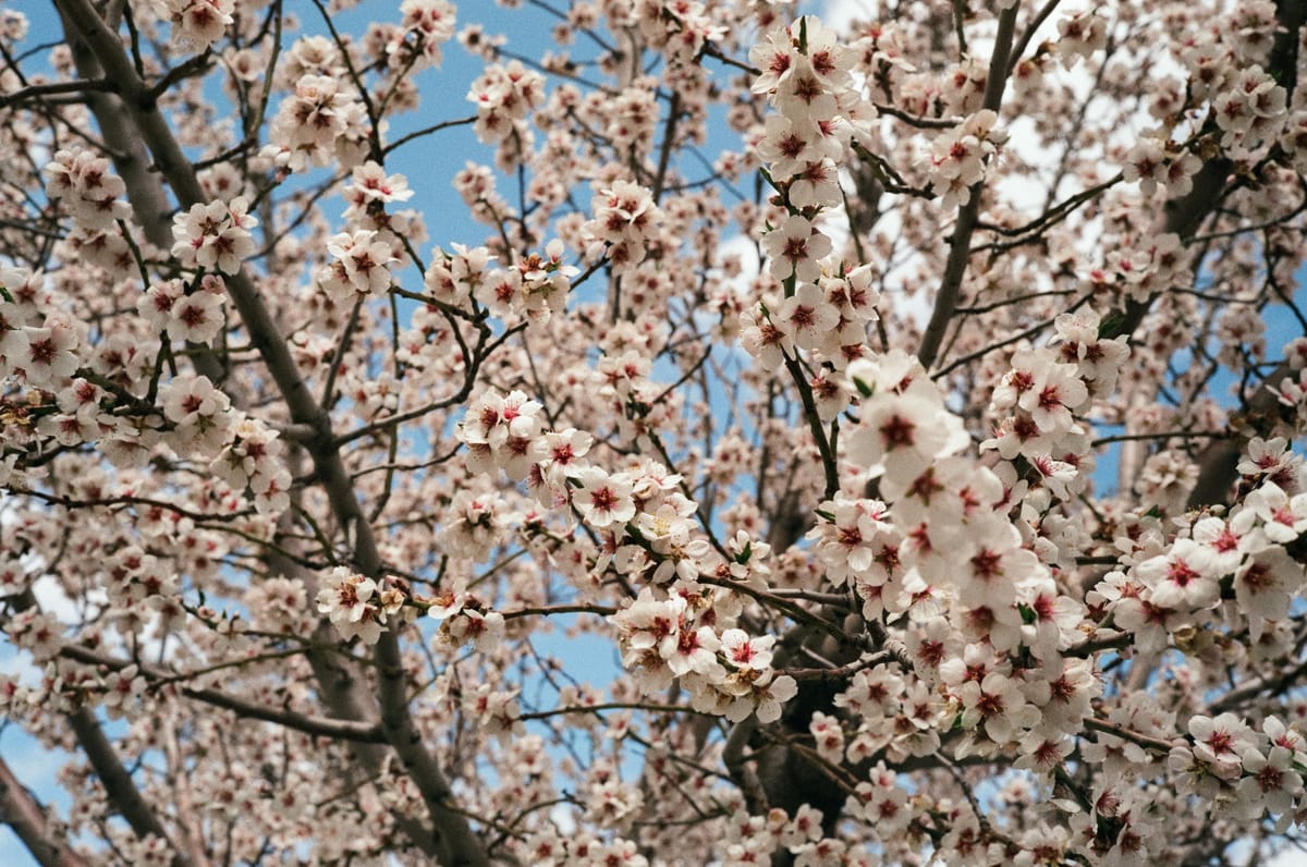 Turkyie on Film Part 8 - Derinkuyu & Cappadocia [Fuji C200]