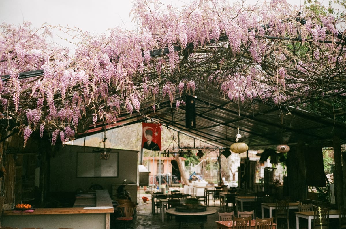 Turkyie on Film Part 6 - Kayakoy & Oludeniz [Fuji C200]