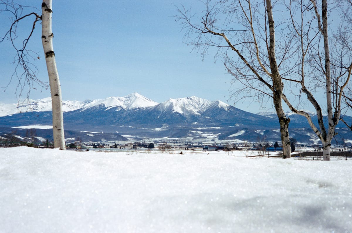 Japan on Film Part 2 - Furano & Biei [Cinestill 50D]