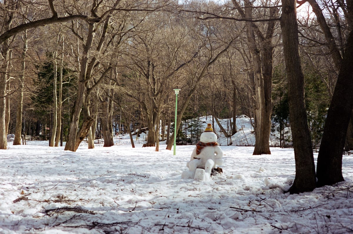 Japan on Film Part 3 - Sapporo [Cinestill 50D]