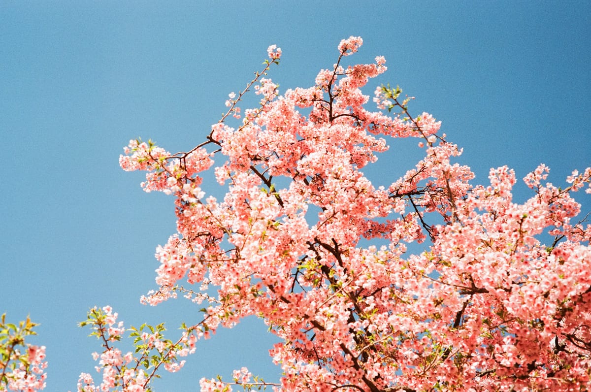 Tokyo on Film Part 3 [Fuji Industrial 100]