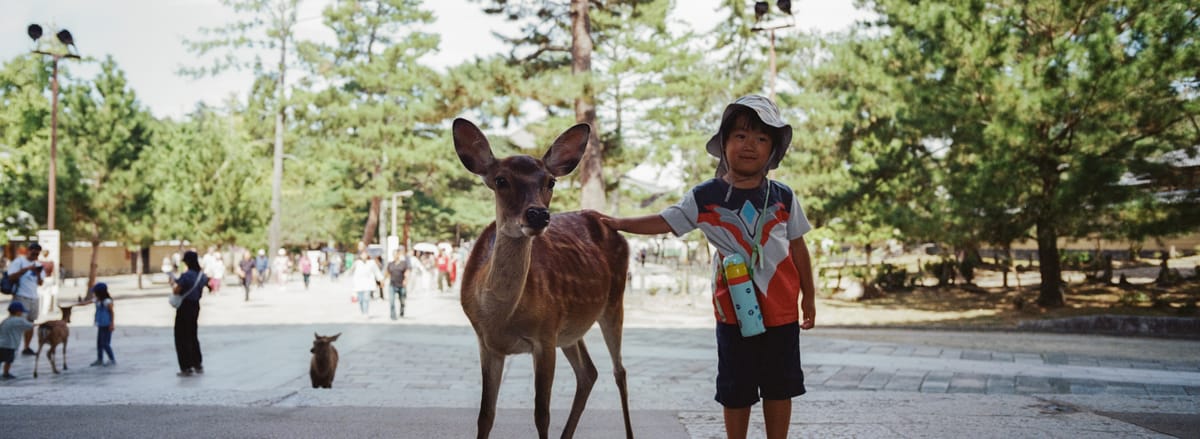 Japan on Film with the TX-1 - Nara [Kodak Portra 400]