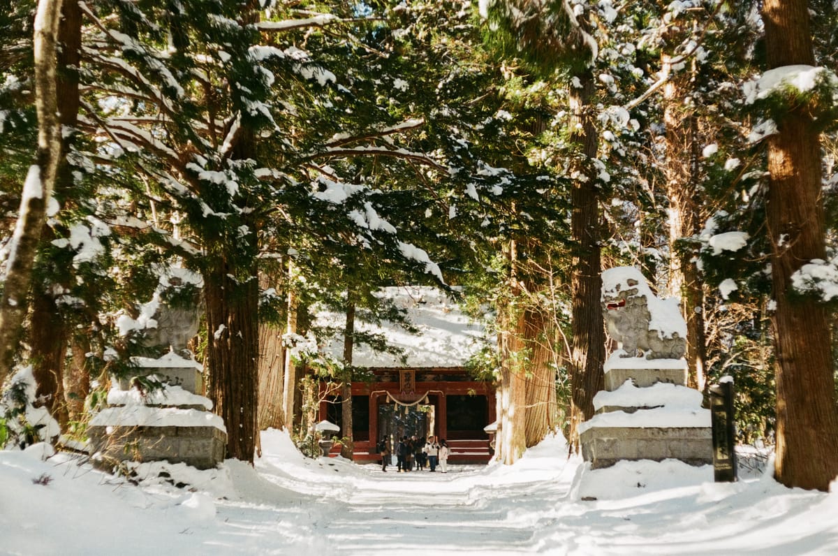 Japan on Film - Togakushi Main Shrine [Agfa Vista 200]
