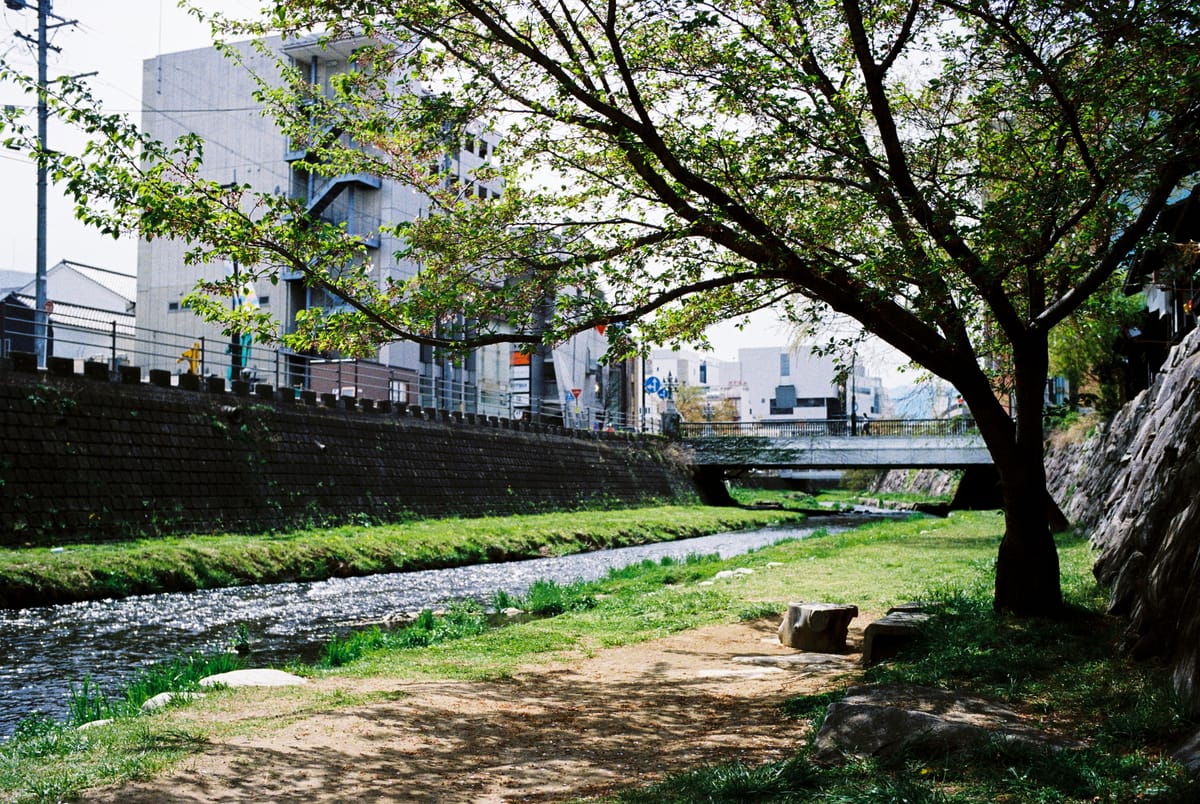 Japan on Film - Matsumoto [Ilford Ilfocolor Vivid 400]